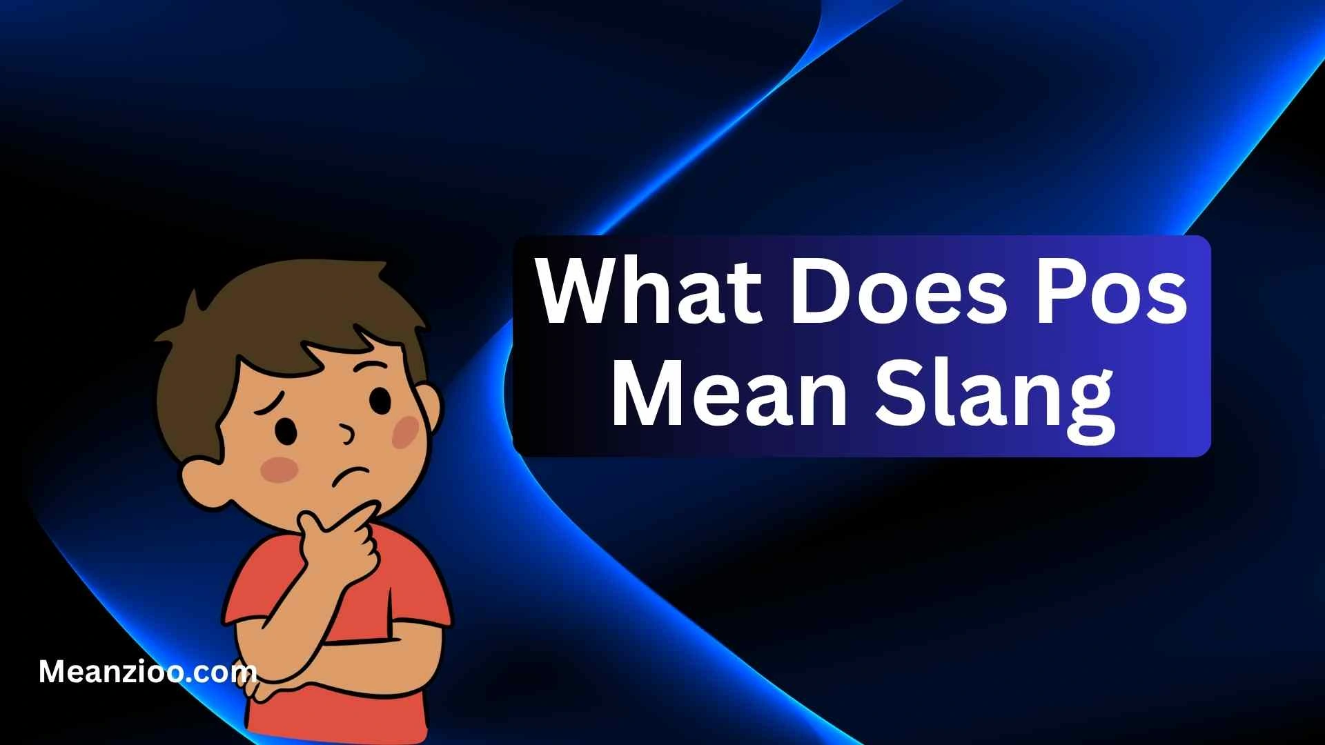 What Does Pos Mean Slang